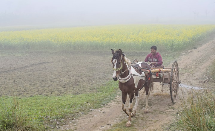 কলকাতায় পরিষ্কার আকাশ। সকালে ও সন্ধ্যায় হালকা শীতের আমেজ। বুধবার থেকে হাওয়া বদল। বাড়বে রাতের তাপমাত্রা, মেঘলা আকাশের সম্ভাবনা।