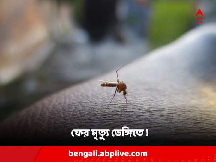 West Bengal Dengue Update : One more died of Dengue at Beleghata ID Hospital Dengue Update: অব্যাহত আতঙ্ক, ডেঙ্গির 'বলি' আরও ১