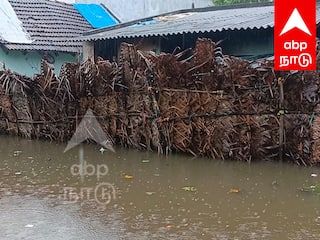 TN Rain: விழுப்புரம் நகர பகுதி குடியிருப்பு பகுதியில் தேங்கிய மழை நீர்... இயல்பு வாழ்க்கை பாதிப்பு