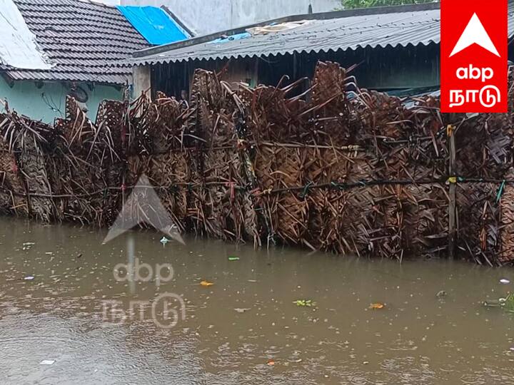 TN Rain Stagnant rain water in a residential area of Villupuram city TNN TN Rain: விழுப்புரம் நகர பகுதி குடியிருப்பு பகுதியில் தேங்கிய மழை நீர்... இயல்பு வாழ்க்கை பாதிப்பு
