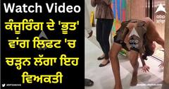 Viral Video: ਕੰਜੂਰਿੰਗ ਦੇ 'ਭੂਤ' ਵਾਂਗ ਲਿਫਟ 'ਚ ਚੜ੍ਹਨ ਲੱਗਾ ਇਹ ਵਿਅਕਤੀ, ਡਰ ਗਈ ਕੁੜੀ ਪਰ ਯੂਜ਼ਰਸ ਹੋਏ ਪ੍ਰਭਾਵਿਤ