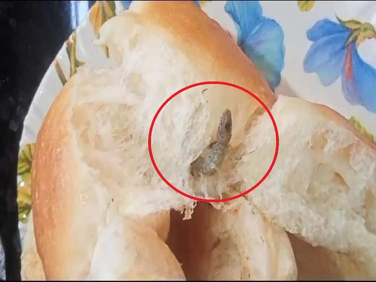 dead house lizard found in bread at Bhiwandi video goes viral Bhiwandi Maharashtra Dead House Lizard Found In Bread :  चहा-पाव, वडा पाव खाताना लक्ष असू द्या; नरम पावात आढळली मेलेली पाल; भिवंडीत खळबळ
