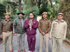 मसूरी वन प्रभाग को मिली बड़ी कामयाबी, दिवाली पर दुर्लभ प्रजाति के उल्लू को शिकारियों से बचाया