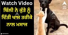 Viral Video: ਬਿੱਲੀ ਨੇ ਕੁੱਤੇ ਨੂੰ ਦਿੱਤੀ ਖਾਸ ਤਰੀਕੇ ਨਾਲ ਮਸਾਜ, ਦੋਸਤੀ ਦੀ ਇਹ ਵੀਡੀਓ ਜਿੱਤ ਲਵੇਗੀ ਤੁਹਾਡਾ ਦਿਲ