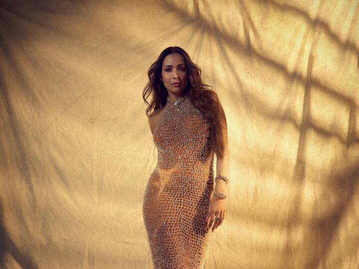 Malaika Arora goes viral on social media as she wore a sheer bodycon gown in her latest pictures.