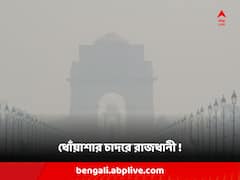 সুপ্রিম-নির্দেশিকা অমান্য করেই আতসবাজি, দীপাবলির পর 'মারাত্মক' ধোঁয়াশায় ঢাকা পড়ল দিল্লি