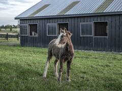 छतों पर लगे टिन शेड सीधे क्यों नहीं होते… ये स्पीड ब्रेकर की तरह ही क्यों होते हैं?