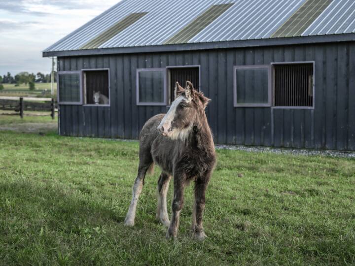 बारिश के मौसम में पानी आसानी से आखिरी छोर तक पहुंच जाता है. इससे रिसाव की भी समस्या काफी कम होती है.
