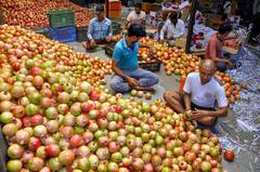 Health Tips: ডালিমের গুণে দূরে থাকবে এই রোগগুলি! কতটা খেতে হবে?