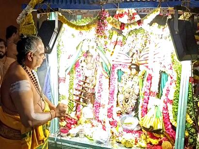 Mayiladuthurai Mayuranathar temple nalungu festival TNN மாயூரநாதர் கோயிலில் நலங்கு உற்சவம் - திரளான பக்தர்கள் சாமி தரிசனம்