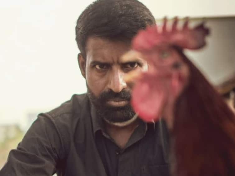 actor soori kottukkaali movie directed by p s vinoth raj stills released Actor Soori : கொட்டுக்காளியாக  சூரியின் மிரட்டும் அவதாரம்... படப்பிடிப்பு புகைப்படங்களை வெளியிட்ட படக்குழு