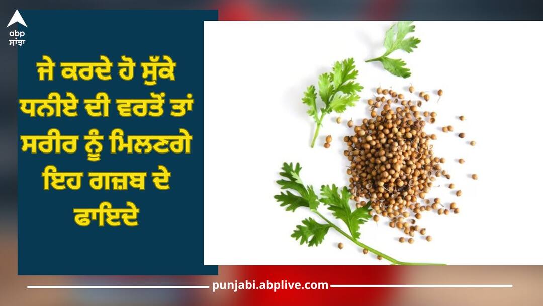 Dry Coriander: If you use dry coriander then body will get these amazing benefits Dry coriander : ਜੇ ਕਰਦੇ ਹੋ ਸੁੱਕੇ ਧਨੀਏ ਦੀ ਵਰਤੋਂ ਤਾਂ ਸਰੀਰ ਨੂੰ ਮਿਲਣਗੇ ਇਹ ਗਜ਼ਬ ਦੇ ਫਾਇਦੇ