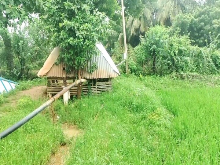 TN Rain: வயல் தண்ணீரில் விழுந்து மூச்சு திணறி உயிரிழந்த விவசாயி - சீர்காழி அருகே சோகம்