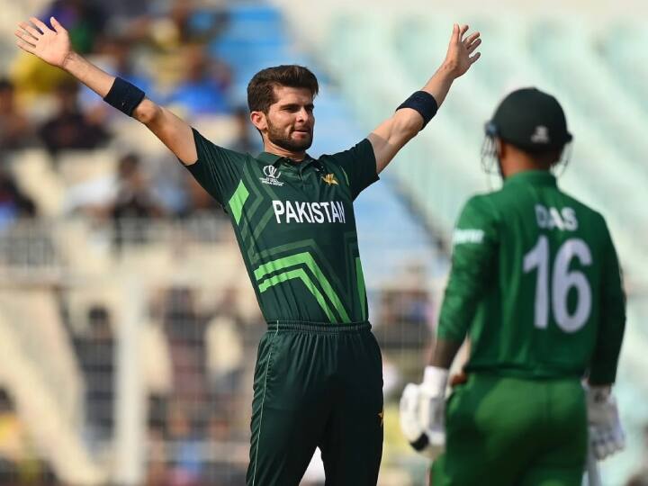 Shaheen Shah Afridi and Shan Masood appointed T20 and Test Captains respectively for Pakistan Cricket Team Pakistan: PCB ने किया पाकिस्तान के नए कप्तानों का एलान, शाहीन अफरीदी को टी20 और शान मसूद को टेस्ट टीम की कमान