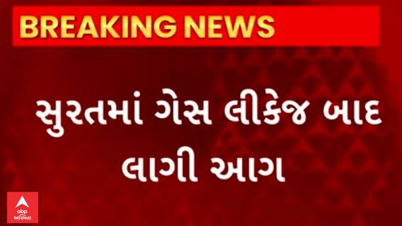 Surat Fire | ગેસ લિકેજ બાદ લાગી ભીષણ આગ, સાત લોકો દાઝ્યા ; Watch Video