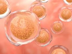 Stem Cell Transplant: How It Is Done, Who Can Be Donors, And Its Impact On Patients’ Lives