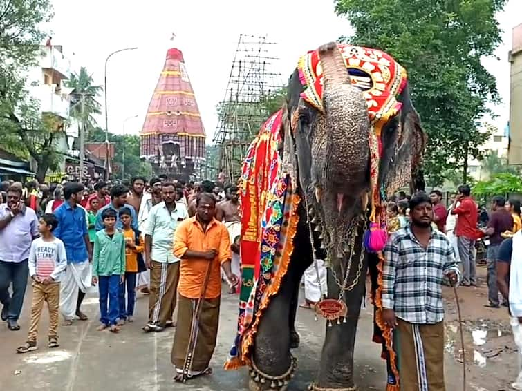 Mayiladuthurai Mayuranathar temple car festival TNN மாயூரநாதர் கோயில் திருத்தேரோட்டம்  - வடம்பிடித்து இழுத்த திருவாவடுதுறை ஆதீனம்