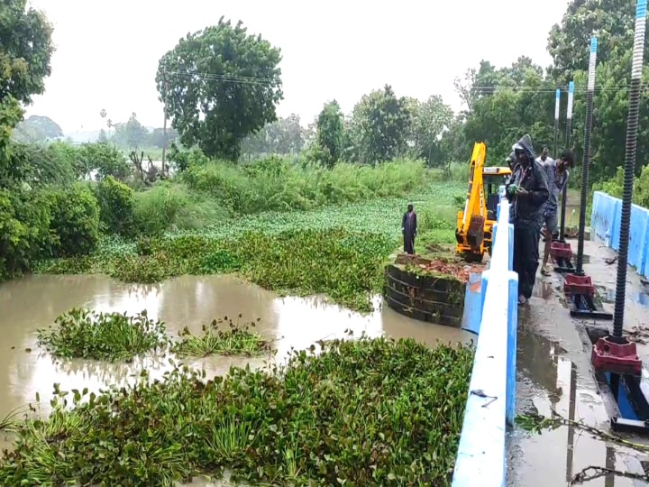 TN Rain: தூர்வாரப்படாத வாய்க்கால்கள் - வயலில் தேங்கிய நீரை வடிய வைக்க தவிக்கும் மயிலாடுதுறை மாவட்ட விவசாயிகள்