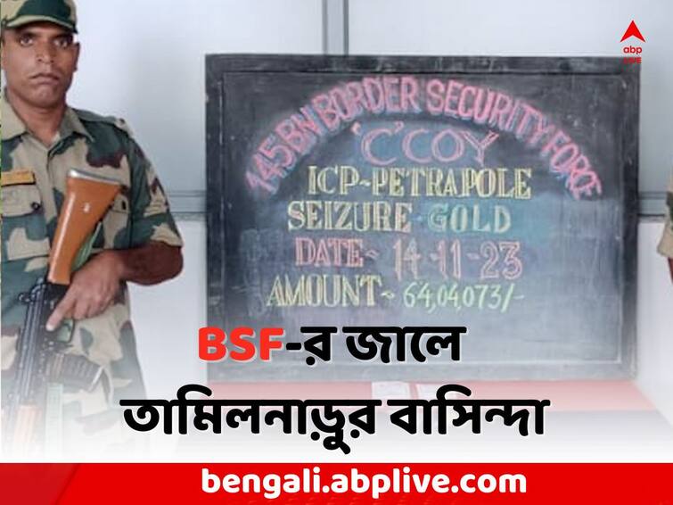 North 24 Parganas News:  BSF recovered more than 1 kg gold from smuggler s body North 24 Parganas News: পাচারকারীর তল্লাশি নিতেই বেজে উঠল মেটাল ডিটেক্টর, চক্ষু চড়কগাছ BSF-র