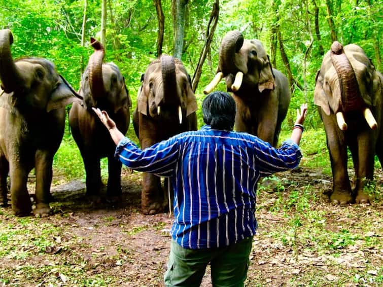 karthik subbaraj talks about elephant scene in  jigarthanda double x movie Karthik Subbaraj :  நான் எதிர்பார்க்காததை யானைகள் செய்தன - ஜிகர்தண்டா டபுள் எகஸ் குறித்து இயக்குநர் கார்த்திக் சுப்பராஜ்