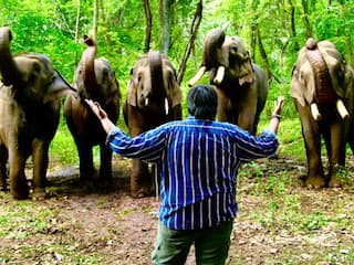 Karthik Subbaraj :  நான் எதிர்பார்க்காததை யானைகள் செய்தன - ஜிகர்தண்டா டபுள் எகஸ் குறித்து இயக்குநர் கார்த்திக் சுப்பராஜ்