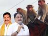 Telangana Elections 2023 | Monkey Threat Becomes Major Poll Issue |కోతుల బెడద సమస్య తీరిస్తేనే ఓట్లేస్తామంటున్న ఓటర్లు | DNN