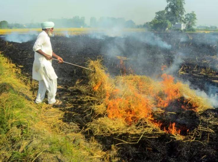 punjab stubble burning cases recorded over 30 thousand in two months Stubble Burning: 30 ਹਜ਼ਾਰ ਤੋਂ ਪਾਰ ਹੋਈਆਂ ਪਰਾਲੀ ਸਾੜਨ ਦੀਆਂ ਘਟਨਾਵਾਂ, ਹਵਾ 'ਚ ਘੁਲਿਆ ਜ਼ਹਿਰ