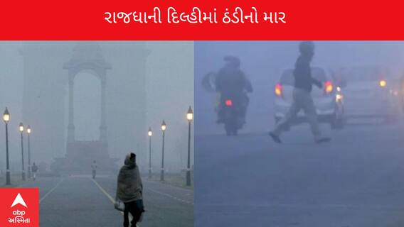 Delhi News : દિલ્હીમાં પ્રદુષણની સાથે વધ્યો ઠંડીનો માર, 10.9 ડિગ્રીમાં ઠુંઠવાઈ રાજધાની