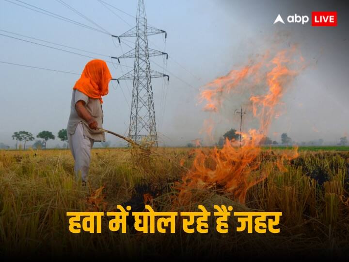 Stubbles Burning: दिल्ली से सटे पंजाब और हरियाणा में सबसे अधिक किसानों ने सुप्रीम कोर्ट की सख्ती के बावजूद पराली जलाई है जिसकी वजह से राजधानी की हवा प्रदूषित हो रही है.