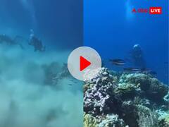 अच्छा तो समंदर में ऐसे आता है भूकंप! स्कूबा डाइविंग के दौरान गोताखोरों ने रिकॉर्ड किया ये डरावना VIDEO