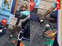Snake in temple viral video : கருவறையில் படமெடுத்த கருநாகம்!பாம்புக்கே பாடமெடுத்த நபர்!வைரல் வீடியோ!
