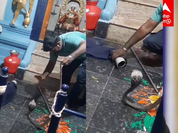 Snake in temple viral video : கருவறையில் படமெடுத்த கருநாகம்!பாம்புக்கே பாடமெடுத்த நபர்!வைரல் வீடியோ!