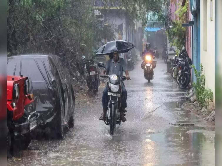 TN Rain alert  heavy rain in  5 districts meteorological department nellai tenkasi districts TN Rain Alert: அடுத்த 24 மணி நேரத்தில் புயல் உருவாகிறதா? தமிழ்நாட்டில் பாதிப்பு இருக்குமா? இன்றைய வானிலை அப்டேட்!