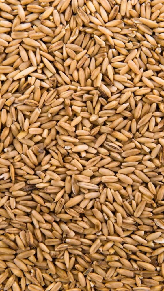 गव्हाच्या किंमतीत नियंत्रीत ठेवण्यासाठी सरकानं घेतला मोठा निर्णय