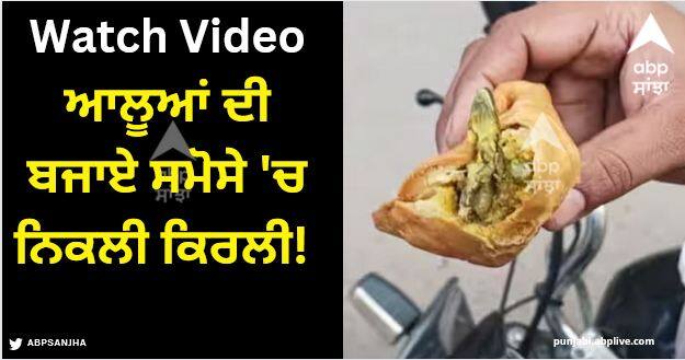viral video man shocked to see lizard in samosa Viral Video: ਆਲੂਆਂ ਦੀ ਬਜਾਏ ਸਮੋਸੇ 'ਚ ਨਿਕਲੀ ਕਿਰਲੀ! ਖਾ ਕੇ ਵਿਅਕਤੀ ਹੋਇਆ ਬੀਮਾਰ, VIDEO ਇੰਟਰਨੈੱਟ 'ਤੇ ਵਾਇਰਲ