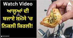 Viral Video: ਆਲੂਆਂ ਦੀ ਬਜਾਏ ਸਮੋਸੇ 'ਚ ਨਿਕਲੀ ਕਿਰਲੀ! ਖਾ ਕੇ ਵਿਅਕਤੀ ਹੋਇਆ ਬੀਮਾਰ, VIDEO ਇੰਟਰਨੈੱਟ 'ਤੇ ਵਾਇਰਲ