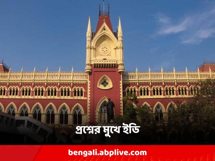 'Nobody can be jailed forever without progress', calcutta high court questioned ED Manik Bhattacharya: 'অগ্রগতি না হয়ে অনন্তকালের জন্য কাউকে জেলে রেখে দেওয়া যায় না', আদালতে প্রশ্নের মুখে ইডি