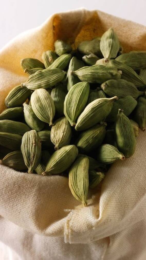 ਘਰ ਵਿੱਚ ਇਦਾਂ ਲਾਓ ਇਲਾਇਚੀ ਦਾ ਪੌਦਾ