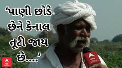 Mehsana |‘પાણી છોડે છેને કેનાલ તૂટી જાય છે.... અમારો પાક સુકાઈ જાય છે મજૂર માણસ અમે શું કરીયે..’