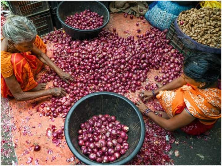 nuh onions are being transported to ncr region gave big relief to the households ann Onion Price: हरियाणा से आई 'बरसाती प्याज' ने एनसीआर के लोगों को दी राहत, बाजार में गिरा भाव