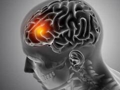 Health Tips: બીજાના ટૂથબ્રશનો ઉપયોગ કરશો નહીં, નહીં તો તમને આ ખતરનાક રોગ થશે