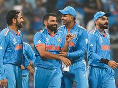 मोहम्मद शमी के शानदार प्रदर्शन पर अमरोहा में जश्न, फैन ने कोयले से बनाई अद्भुत तस्वीर