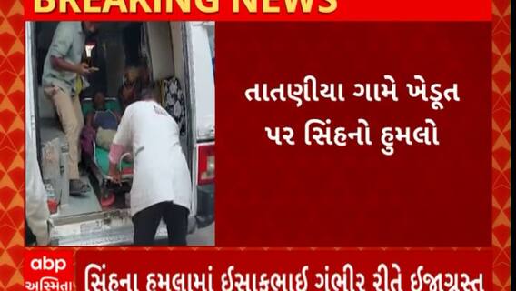 Bhavnagar lion attack : ભાવનગરના તાતણીયા ગામે ખેડૂત પર સિંહે કર્યો હુમલો