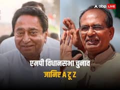 मध्य प्रदेश की 230 सीटों पर शुक्रवार को मतदान, किस नेता ने की कितनी रैली, कौन VIP उम्मीदवार, जानिए A टू Z