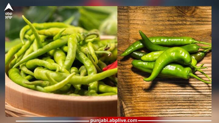 Green Chillies: ਆਓ ਜਾਣਦੇ ਹਾਂ ਰੋਜ਼ਾਨਾ ਹਰੀ ਮਿਰਚ ਖਾਣ ਨਾਲ ਸਿਹਤ ਨੂੰ ਕੀ-ਕੀ ਫਾਇਦੇ ਹੁੰਦੇ ਹਨ। ਹਰੀ ਮਿਰਚ ਨਾ ਸਿਰਫ ਭੋਜਨ ਦਾ ਸੁਆਦ ਅਤੇ ਮਸਾਲਾ ਵਧਾਉਂਦੀ ਹੈ ਸਗੋਂ ਸਿਹਤ ਨੂੰ ਵੀ ਕਈ ਫਾਇਦੇ ਦਿੰਦੀ ਹੈ।