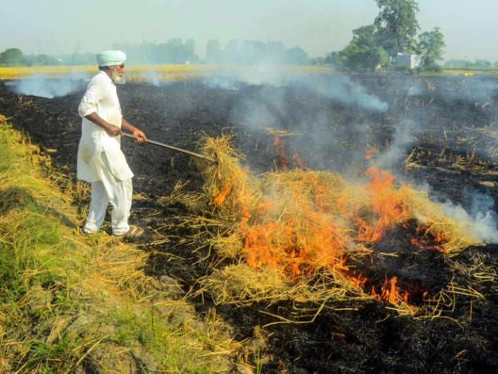 Punjab Stubble burning Cases Recorded Over 30 thousand in two months Punjab Stubble Burning: पंजाब में दो महीने में पराली जलाने की घटनाएं 30 हजार के पार, हवा में घुला जहर