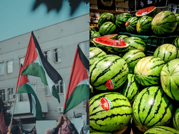 How watermelon become a symbol of protest in Palestine story is very interesting वाटरमेलन कैसे बन गया फिलिस्तीन में विरोध का प्रतीक? बेहद दिलचस्प है कहानी
