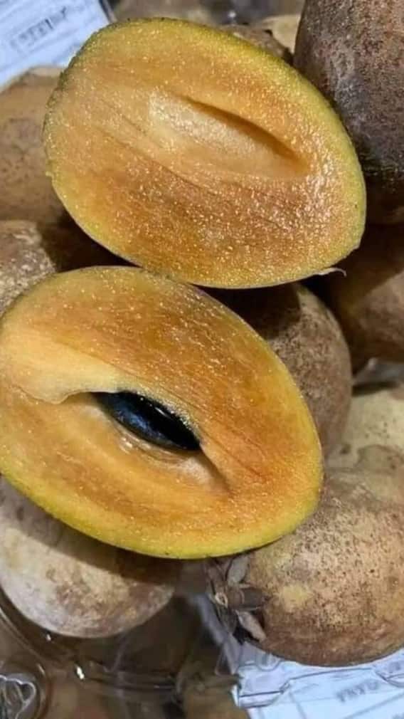 ਸਿਹਤ ਦੇ ਲਈ ਫਾਇਦੇਮੰਦ ਮੰਨਿਆ ਜਾਂਦਾ ਚੀਕੂ, ਹੱਡੀਆਂ ਹੁੰਦੀਆਂ ਮਜਬੂਤ