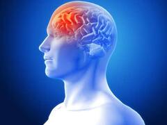 Health Tips: બીજાના ટૂથબ્રશનો ઉપયોગ કરશો નહીં, નહીં તો તમને આ ખતરનાક રોગ થશે