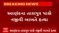 Anand News : આણંદના તારાપુર પાસે પંજાબથી આવેલા 2 યુવકો વચ્ચે બોલાચાલી બાદ ખેલાયો ખૂની ખેલ